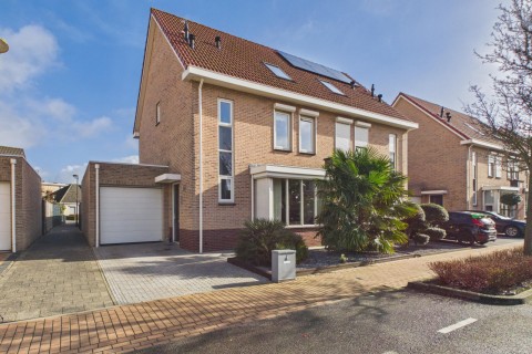 Aalscholver 14