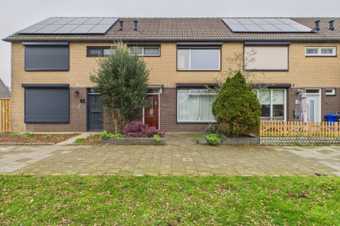 Lingestraat 83