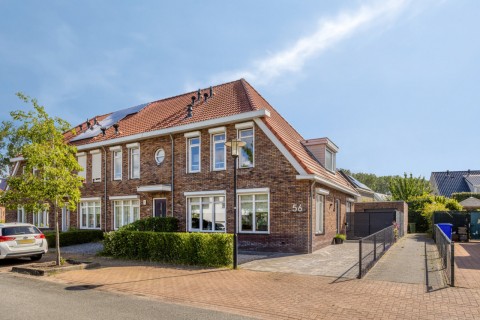 Tapijtschelp 56