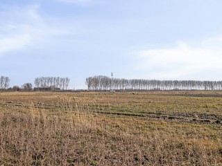 Apollovlinder  Apollovlinder 19 in Terneuzen