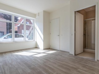  Frans van Waesberghestraat 73 in Hulst