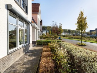 Jacobsschelp  Jacobsschelp 68 in Terneuzen