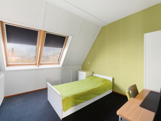 Jacobsschelp  Jacobsschelp 68 in Terneuzen