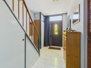Mozarthof  Mozarthof 84 in Terneuzen