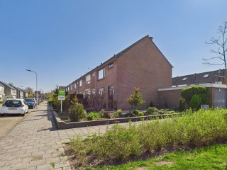 Mozarthof  Mozarthof 84 in Terneuzen