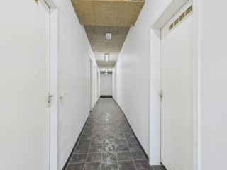 Ledelplein  Ledelplein 8013 in Oostburg