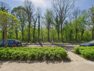 Drostlaan  Drostlaan 44 in Sluiskil