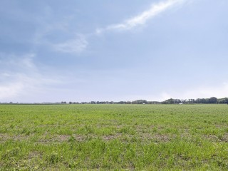 Schepenlaan  Schepenlaan 24 in Terneuzen