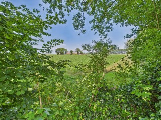 Schenkeldijk  Schenkeldijk 2 in Graauw