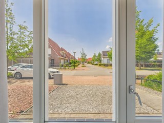  Tapijtschelp 60 in Terneuzen