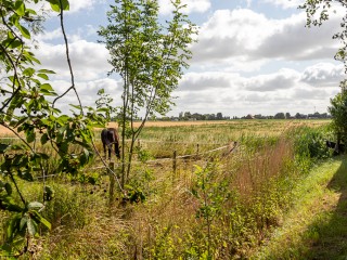 Zeedorp  Zeedorp 10a in Ossenisse