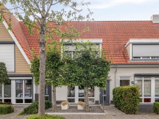 Aurelia  Aurelia 6 in Terneuzen