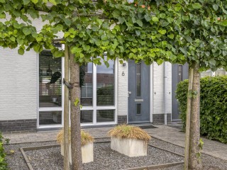 Aurelia  Aurelia 6 in Terneuzen