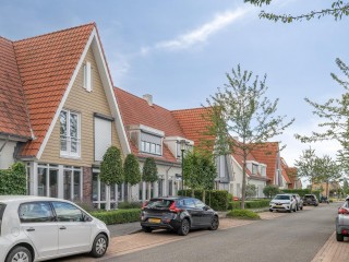 Aurelia  Aurelia 6 in Terneuzen