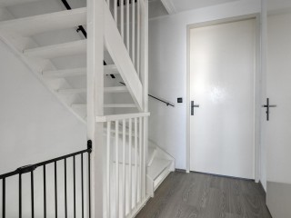 Aurelia  Aurelia 6 in Terneuzen