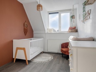 Aurelia  Aurelia 6 in Terneuzen