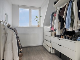 Aurelia  Aurelia 6 in Terneuzen