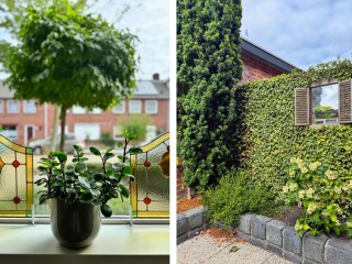 Hobbemastraat  Hobbemastraat 15 in Terneuzen