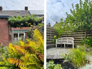 Hobbemastraat  Hobbemastraat 15 in Terneuzen
