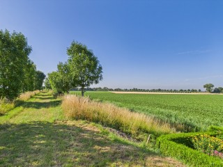  Doorndijk 3 in Walsoorden