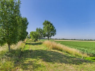 Doorndijk  Doorndijk 3 in Walsoorden