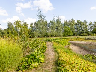 Riet- en Wulfsdijkweg  Riet- en Wulfsdijkweg 26 in Hulst