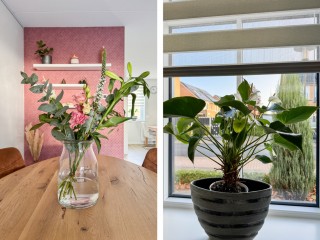 Hoogaarswerf  Hoogaarswerf 1 in Terneuzen