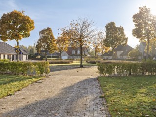 Vlasbloem  Vlasbloem 4 in Heikant