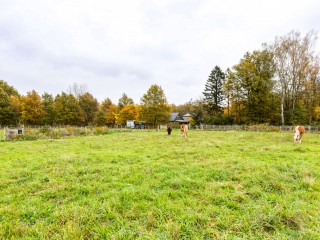 Julianastraat  Julianastraat 81 in Heikant