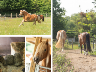 Julianastraat  Julianastraat 81 in Heikant