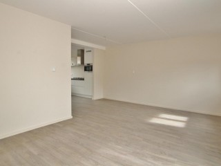  Zouterik 8 in Philippine