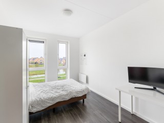 Koninginnepage  Koninginnepage 29 in Terneuzen