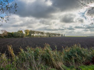 Vogelfort  Vogelfort 3 in Hengstdijk