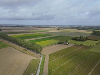 Vrijedijk  Vrijedijk 11 in Ijzendijke