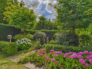 Reygerskreek  Reygerskreek 32 in Hengstdijk