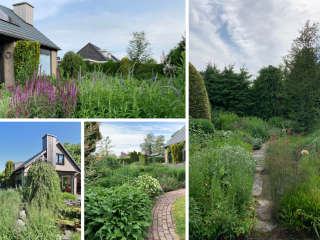 Dorus Rijkersstraat  Dorus Rijkersstraat 6 in Terneuzen