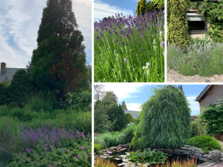 Dorus Rijkersstraat  Dorus Rijkersstraat 6 in Terneuzen