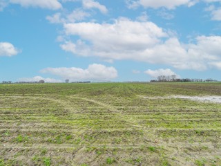 Plevierstraat  Plevierstraat 3 in Hengstdijk