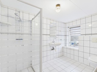 Terneuzensestraat  Terneuzensestraat 18 in Zaamslag