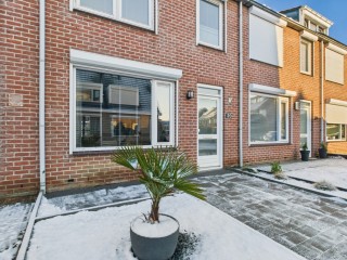 Haringvliet  Haringvliet 20 in Terneuzen