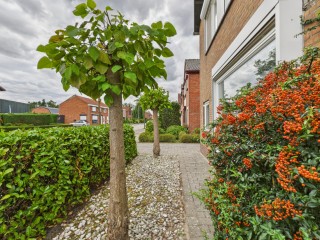 's-Gravenstraat  's-Gravenstraat 4 in Clinge