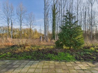 Drieschouwen  Drieschouwen 13 in Axel