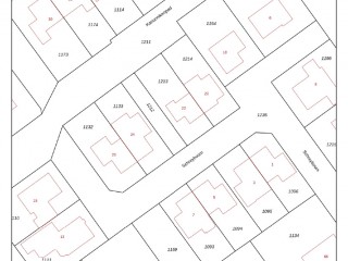 Schreyboom  Schreyboom 22 in Westdorpe