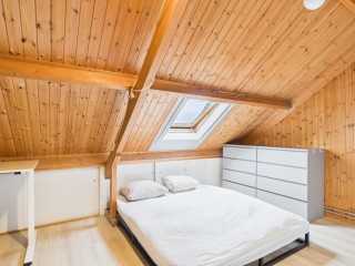 Schreyboom  Schreyboom 22 in Westdorpe