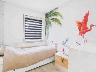 Schreyboom  Schreyboom 22 in Westdorpe