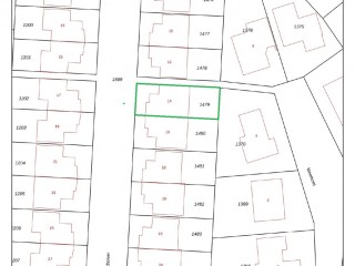 Aalscholver  Aalscholver 14 in Terneuzen