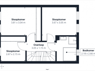 Aalscholver  Aalscholver 14 in Terneuzen