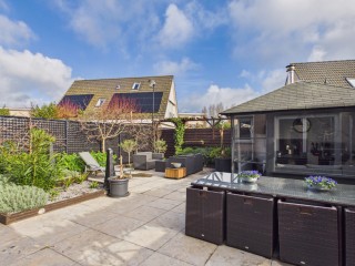  Aalscholver 14 in Terneuzen