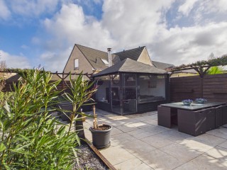 Aalscholver  Aalscholver 14 in Terneuzen