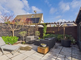 Aalscholver  Aalscholver 14 in Terneuzen